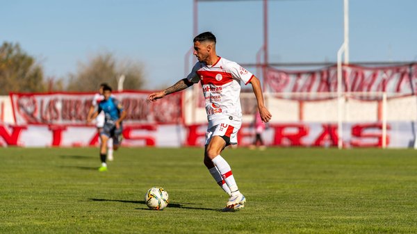 Wie kann man die Persönlichkeit eines Haustiers besser verstehen?